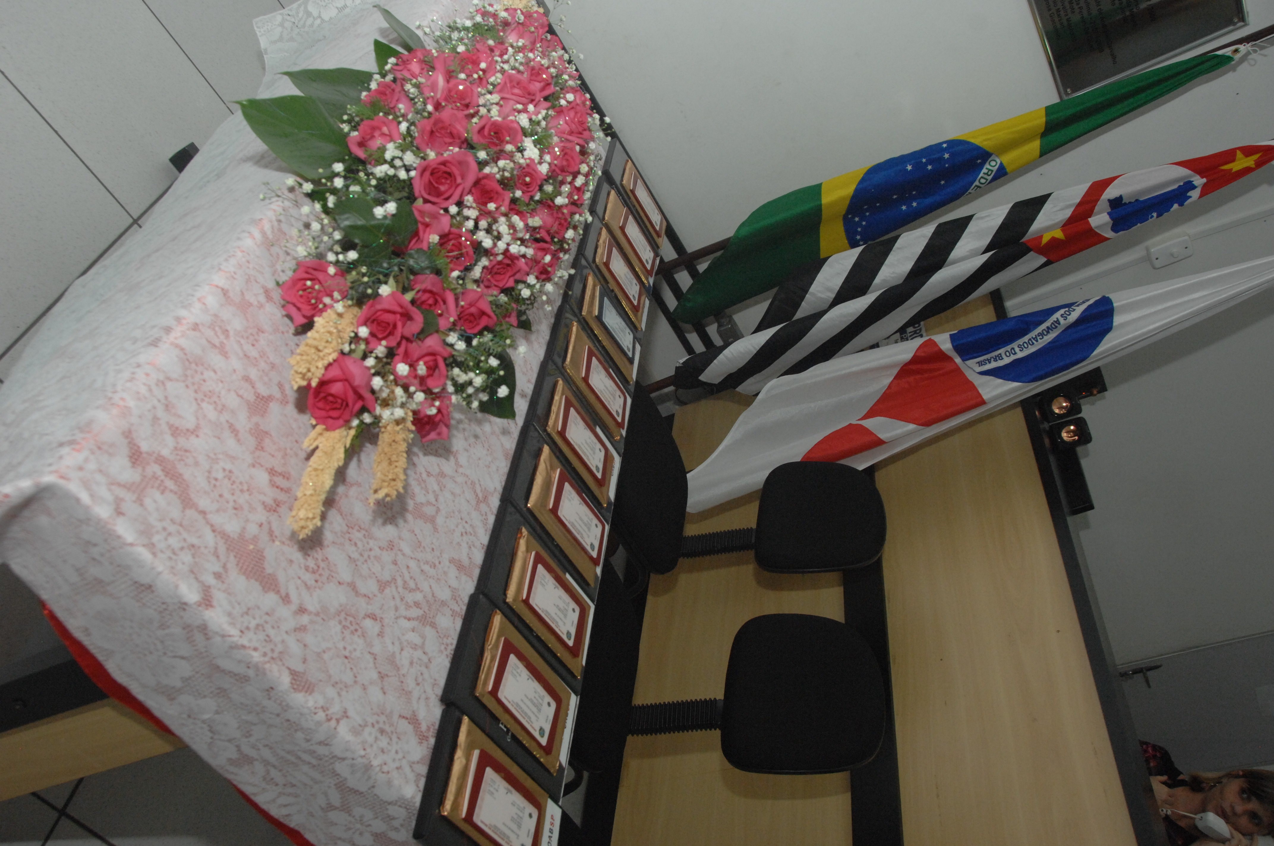 Entrega de Carteiras da OAB - Foto 2
